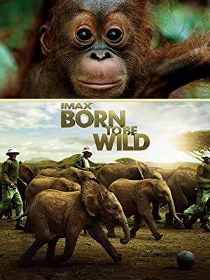 Born to be Wild (2011)