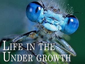 Life in the Undergrowth (2005)