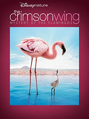 The Crimson Wing (2008)