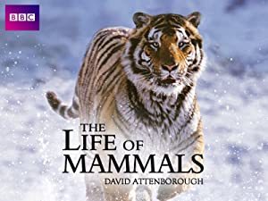 The Life of Mammals (2002)