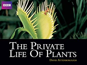 The Private Life of Plants (1995)