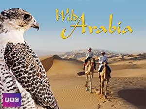 Wild Arabia (2013)