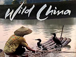 Wild China (2008)